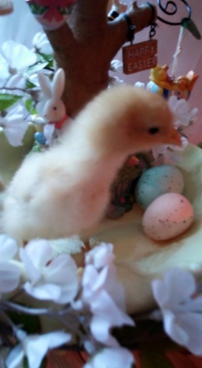 ‘ayx官方网站’大连一方主场力克上港保级重新曙光 核心强援助阵让分队如虎添翼(图3) 爱游戏(ayx)中国官方网站