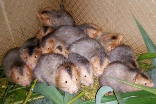 爱游戏（ayx）中国官方网站