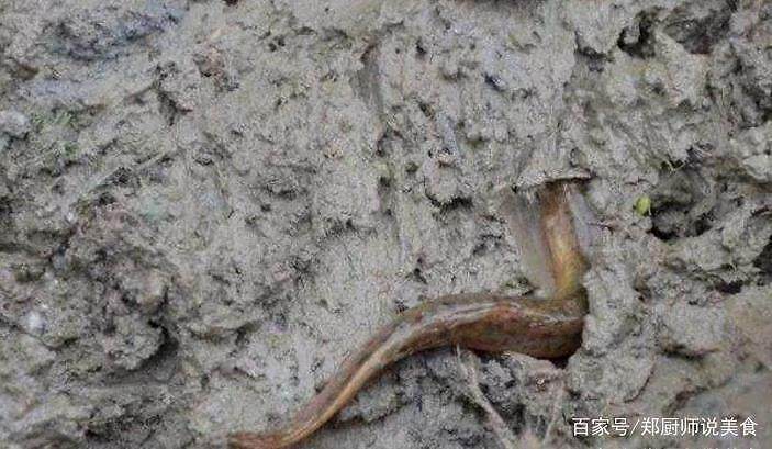 爱游戏（ayx）中国官方网站