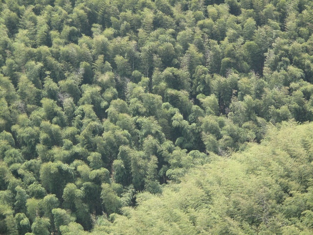 赚钱文案剖析揭秘之:广告文案‘ayx官方网站’(图2) ayx官方网站