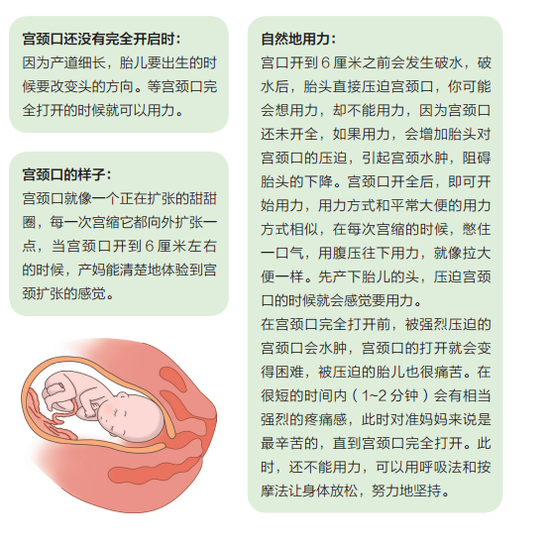 爱游戏(ayx)中国官方网站|佩莱与鲁能续约遭官方辟谣?续约能否成功主要取决这两点!(图4) 爱游戏(ayx)中国官方网站