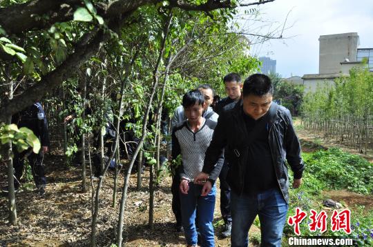 ayx官网-知识点:符号和口号(图3) ayx官方网站