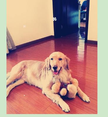 浩腾媒体Accuen程序化购买白皮书详解中国市场营销变革:ayx官网(图1) ayx官方网站