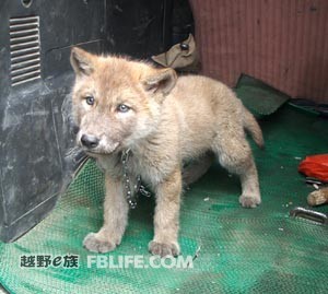 ayx官网|坎德雷瓦:国米将会成功,往年尤文将再夺冠(图2) ayx官方网站