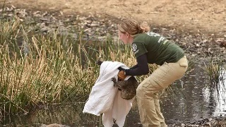 「免费分享」高中政治万能公式(附解题方法),收藏高中三年都适用:爱游戏(ayx)中国官方网站(图2) ayx官网