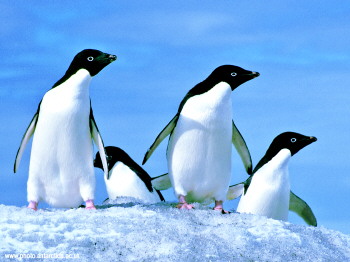 “ayx官网”郜林裴帅郑达伦加入合练!深圳佳兆业将与国足踢热身赛(图2) ayx官方网站