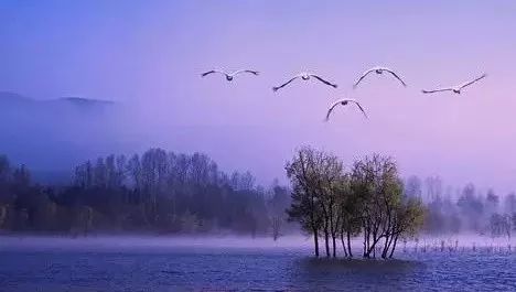 ayx官方网站_记者:上港球员抵达上海,许多队员都佩戴口罩(图2) ayx官方网站