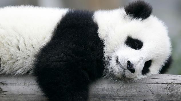 爱游戏(ayx)中国官方网站|阳江市领导调研教育系统思想政治教育、意识形态等工作(图2) ayx官网