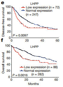 爱游戏（ayx）中国官方网站