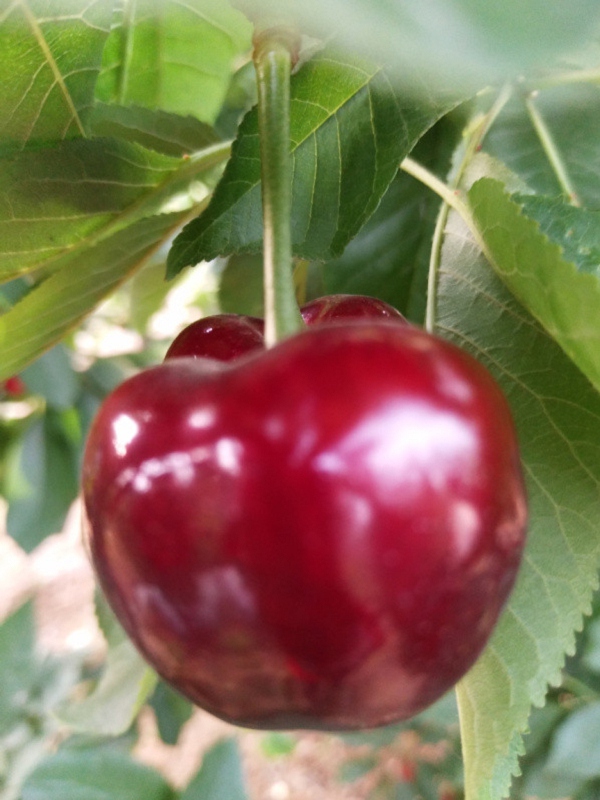 【爱游戏(ayx)中国官方网站】重庆百余大学生争做“创客” 互联网+论坛上勤取经(图2) ayx官网