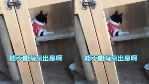 力邀杨紫担任周年庆大使 看大话手游如何打 “年轻”这张牌‘爱游戏(ayx)中国官方网站’(图3) 爱游戏(ayx)中国官方网站