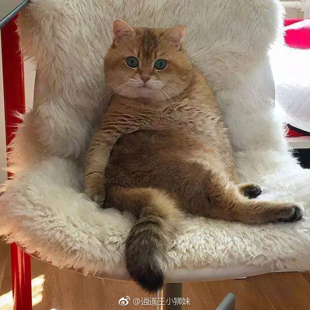 浙江首起涉行政合同纠纷案开审【ayx官方网站】(图2) ayx官方网站