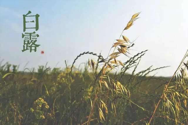 别让农村公路成安全盲区_时事政治_中公教育网【ayx官方网站】(图2) ayx官方网站