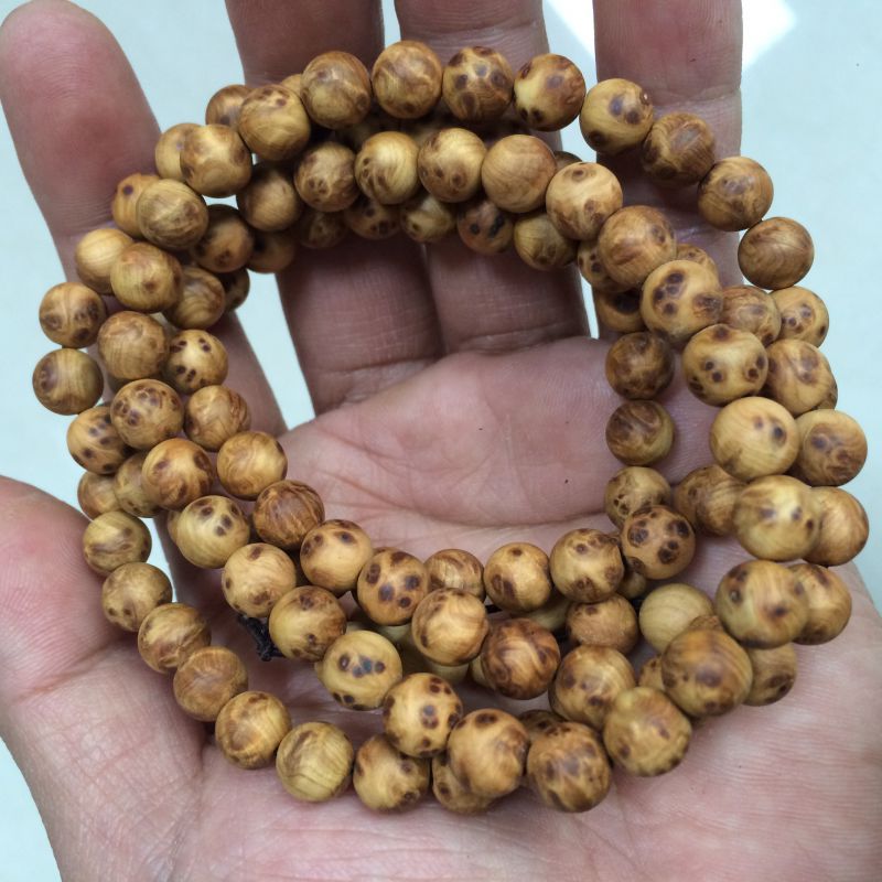 大连一方主力阵容有望迎来新面孔!才华横溢曾深受球迷追捧:ayx官网(图2) ayx官方网站