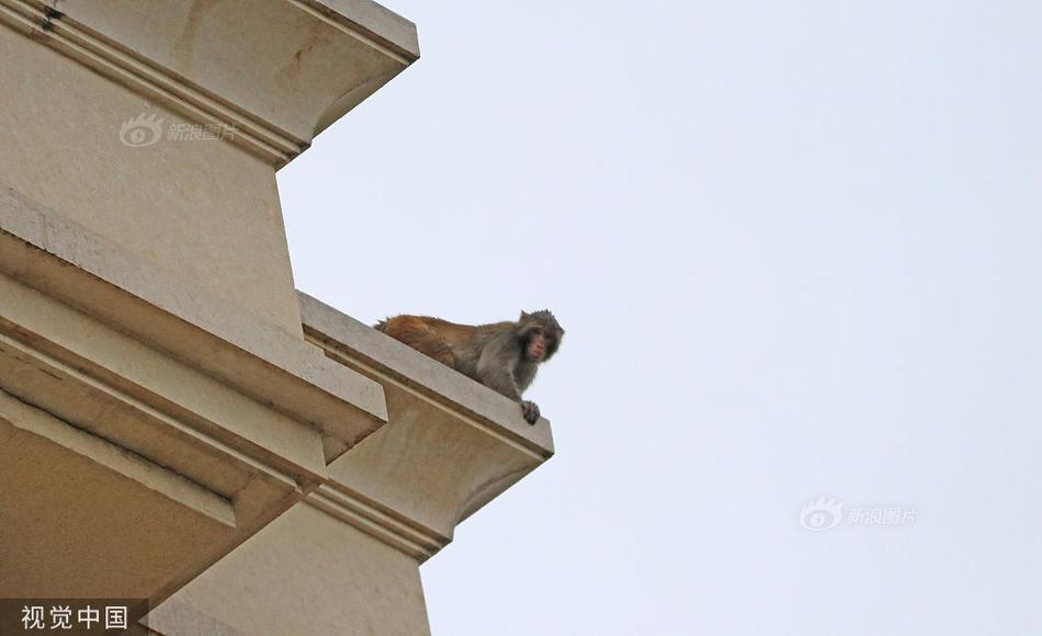 汉源小水果做出大文章:穷山沟变“桃花源”【爱游戏(ayx)中国官方网站】(图3) 爱游戏(ayx)中国官方网站