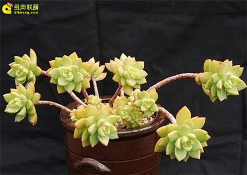 爱国主义是中华民族的民族心民族魂_时事政治_中公教育网-ayx官方网站(图2) ayx官网