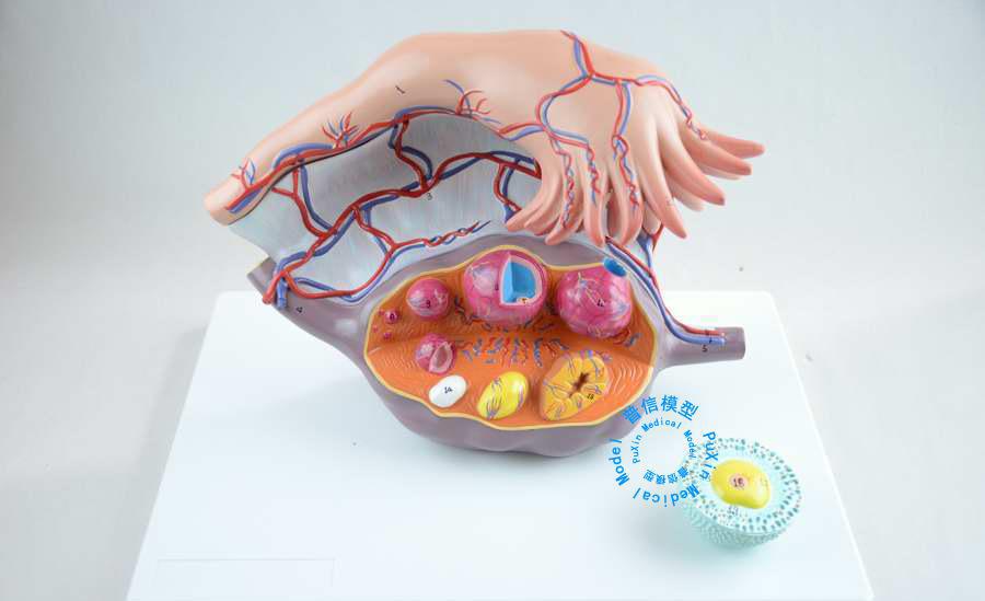 天津市工商联:促进非公经济人士健康成长‘ayx官网’(图2) ayx官网