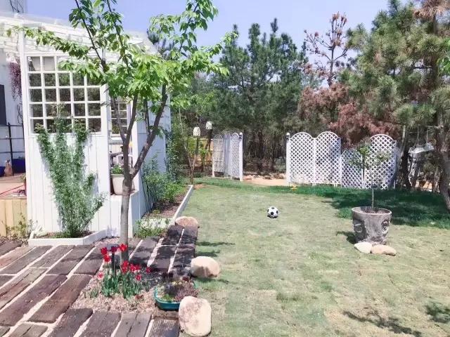 “ayx官方网站”法国女婿诙谐吐槽中国丈母娘新冠疫情三个月不出门,法式诙谐片段(图2) ayx官网