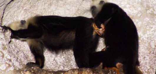 爱游戏（ayx）中国官方网站