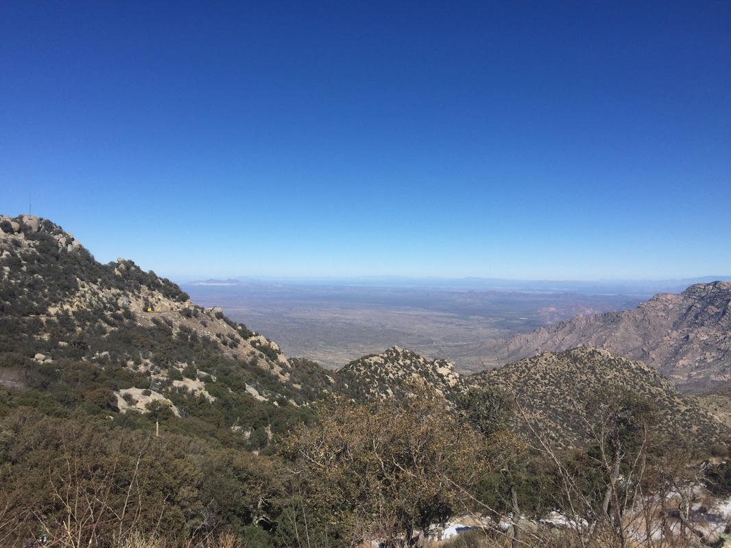 ayx官网_“hdtOTV助力联合利华金纺推广”获金i奖程序化视频营销全场大奖!(图3) ayx官网