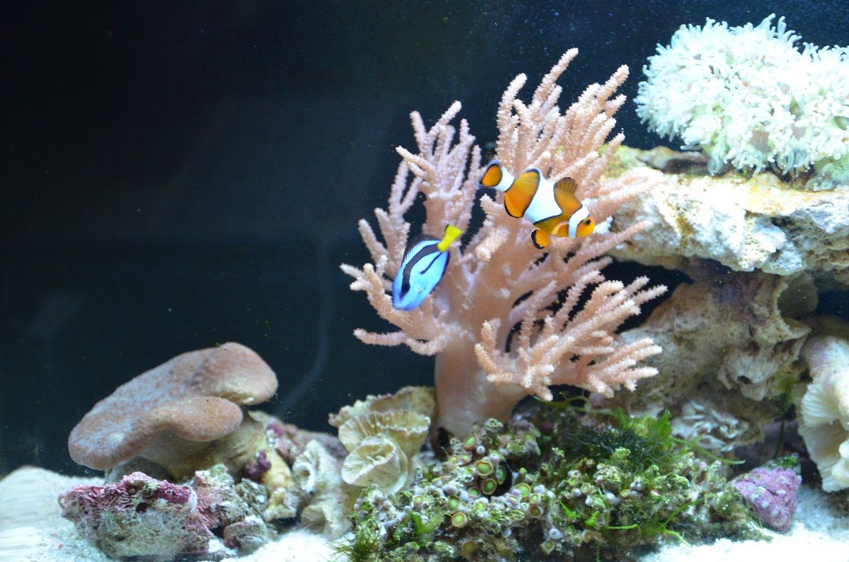 ayx官网_地平线传媒通过上市挂牌审批(图4) ayx官网