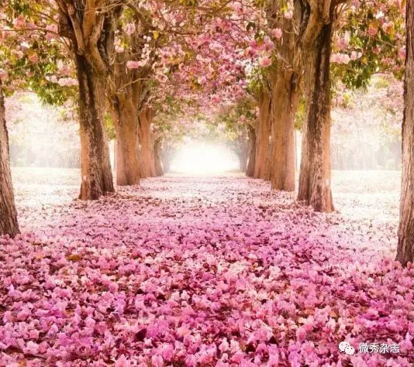 爱游戏（ayx）中国官方网站