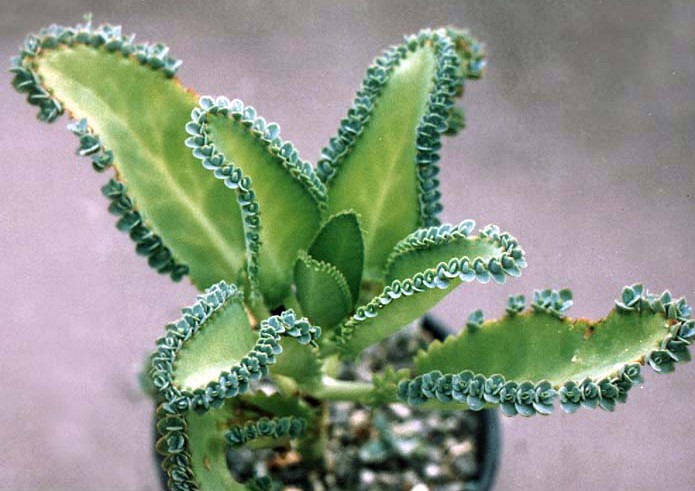 爱游戏（ayx）中国官方网站