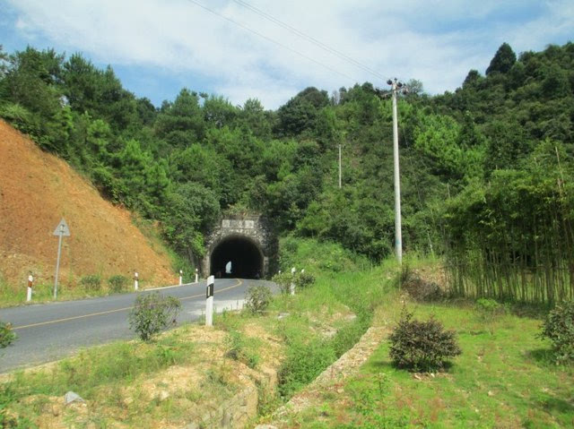 爱游戏(ayx)中国官方网站:河南漯河投放9万余头天敌“掐架”天牛等蛀干害虫(图3) ayx官网